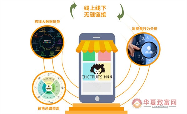 刺果果加盟